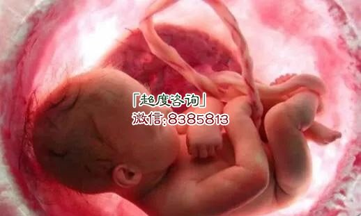 灵婴超度法事只影响母亲?