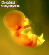 超度婴灵后母体多久会有反应