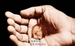 怀孕多久打胎不损阴德