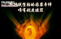 堕胎后婴灵去了什么地方