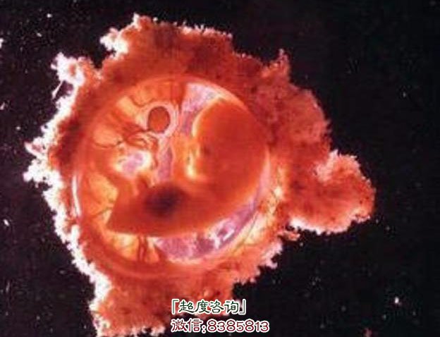 婴灵超度后怎么才知道成功