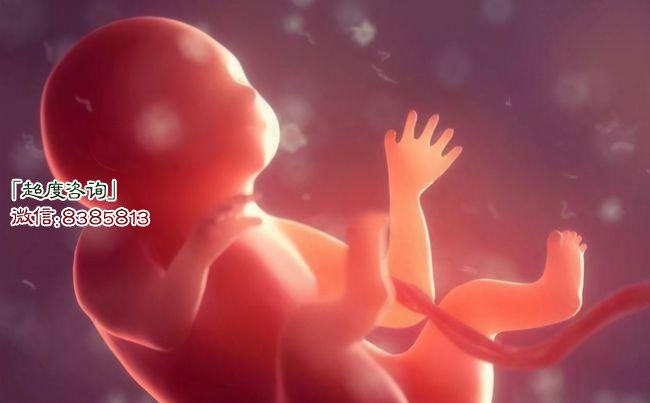 婴灵超度宝忏全文