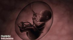 超度婴灵不能对外说的原因是什么